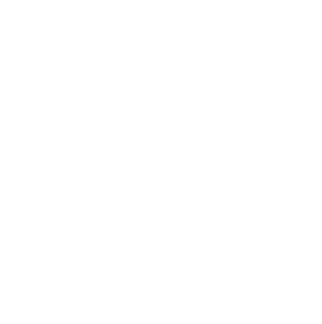 Deep Laravel expertise